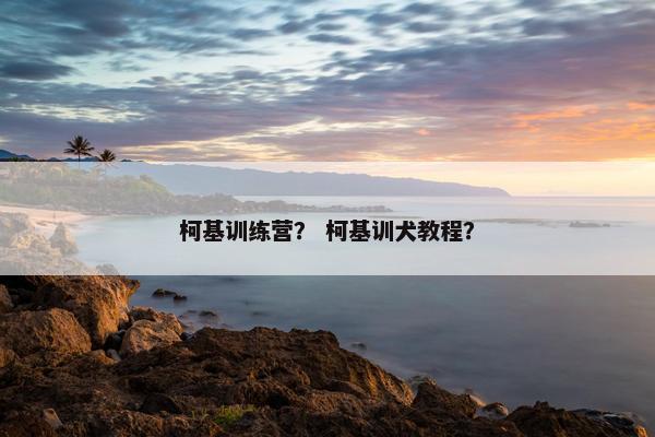 柯基训练营？ 柯基训犬教程？