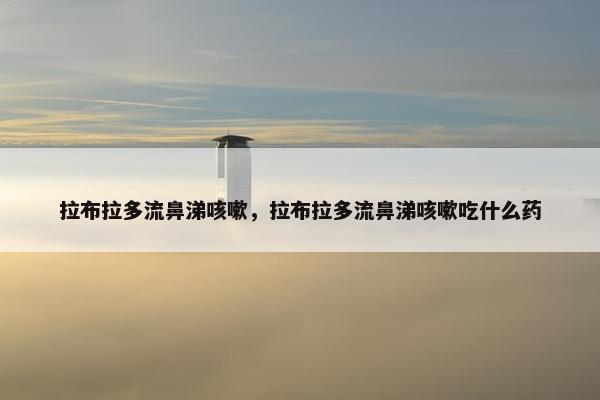 拉布拉多流鼻涕咳嗽，拉布拉多流鼻涕咳嗽吃什么药