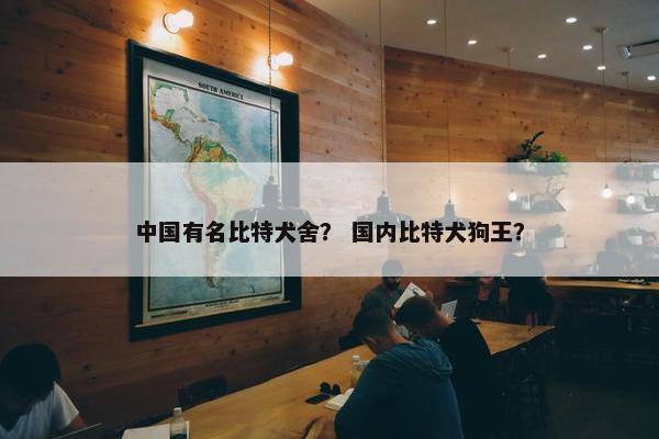 中国有名比特犬舍？ 国内比特犬狗王？