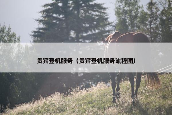 贵宾登机服务（贵宾登机服务流程图）