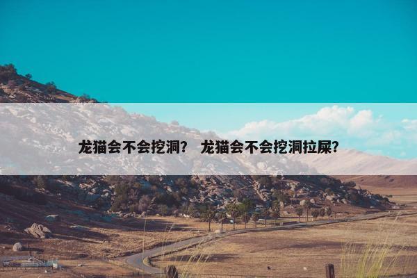 龙猫会不会挖洞？ 龙猫会不会挖洞拉屎？
