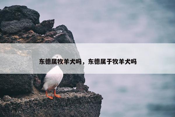 东德属牧羊犬吗，东德属于牧羊犬吗