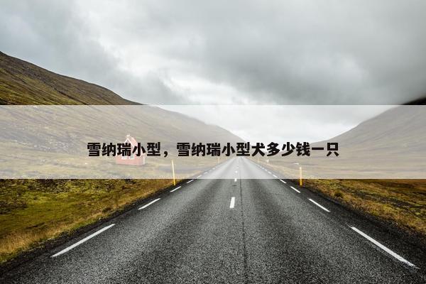 雪纳瑞小型，雪纳瑞小型犬多少钱一只