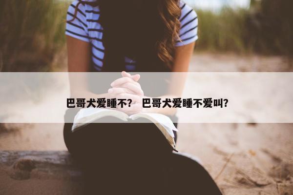 巴哥犬爱睡不？ 巴哥犬爱睡不爱叫？