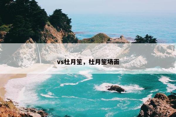 vs杜月笙，杜月笙场面