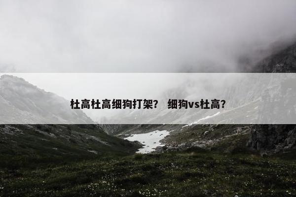 杜高杜高细狗打架？ 细狗vs杜高？
