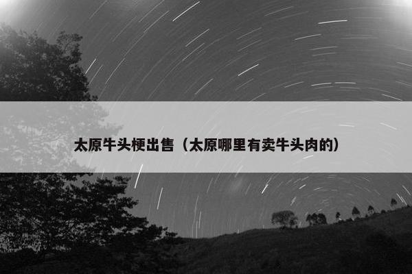 太原牛头梗出售（太原哪里有卖牛头肉的）