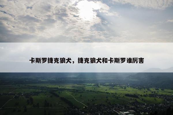 卡斯罗捷克狼犬，捷克狼犬和卡斯罗谁厉害