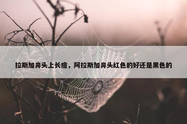 拉斯加鼻头上长痘，阿拉斯加鼻头红色的好还是黑色的