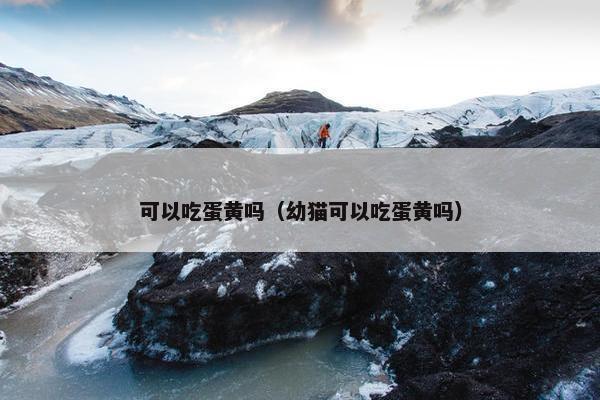 可以吃蛋黄吗（幼猫可以吃蛋黄吗）