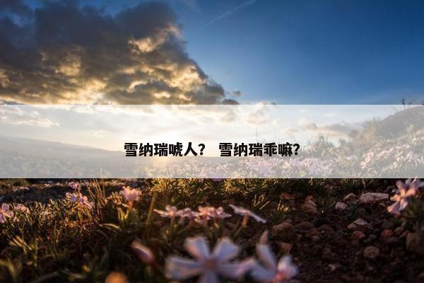 雪纳瑞唬人？ 雪纳瑞乖嘛？