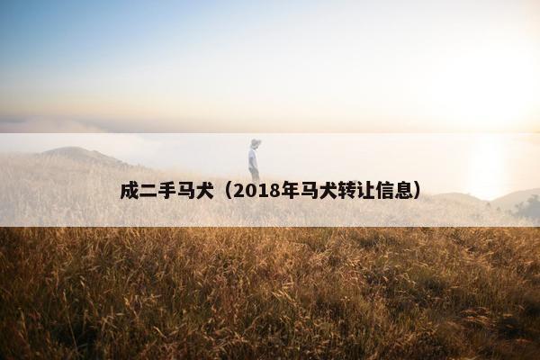 成二手马犬（2018年马犬转让信息）