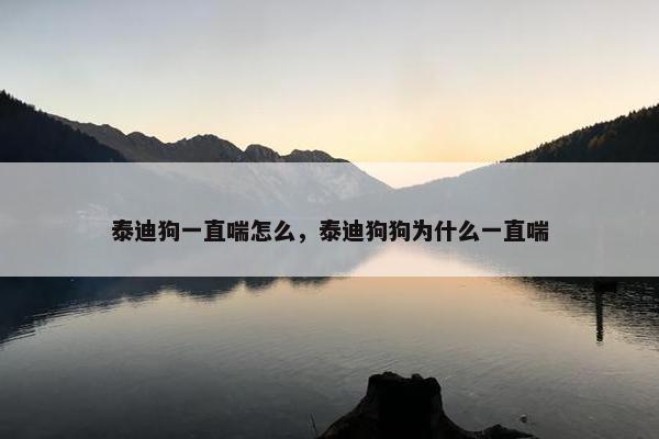 泰迪狗一直喘怎么，泰迪狗狗为什么一直喘