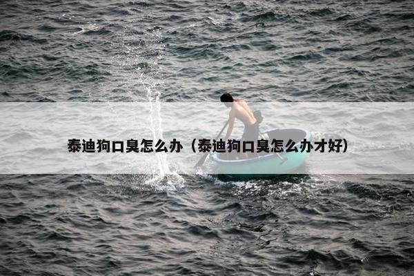 泰迪狗口臭怎么办（泰迪狗口臭怎么办才好）