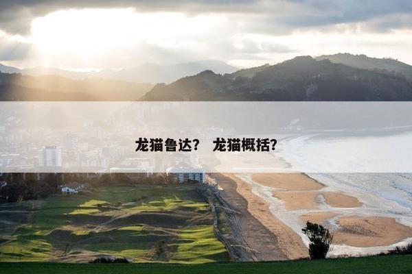 龙猫鲁达？ 龙猫概括？