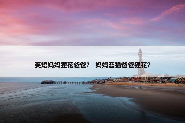 英短妈妈狸花爸爸？ 妈妈蓝猫爸爸狸花？