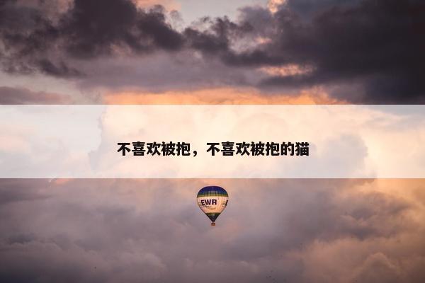 不喜欢被抱，不喜欢被抱的猫