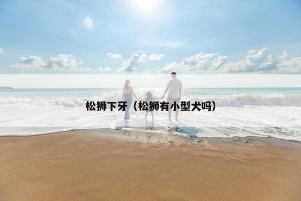 松狮下牙（松狮有小型犬吗）