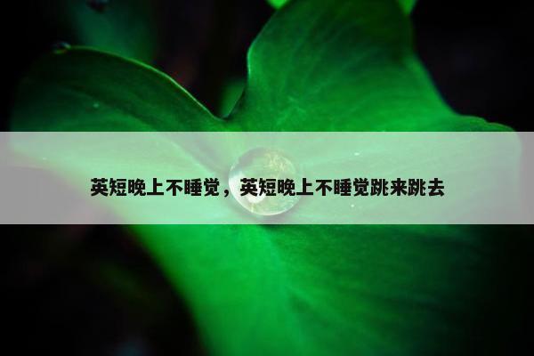 英短晚上不睡觉，英短晚上不睡觉跳来跳去