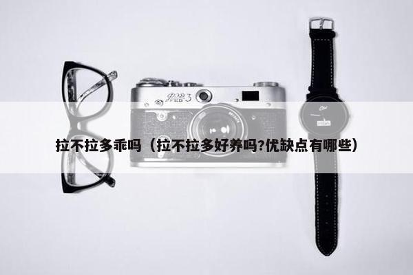 拉不拉多乖吗（拉不拉多好养吗?优缺点有哪些）