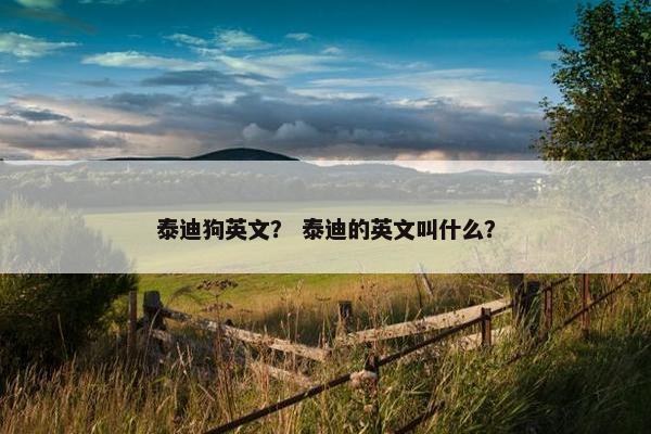 泰迪狗英文？ 泰迪的英文叫什么？