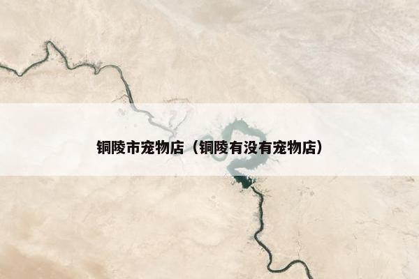 铜陵市宠物店（铜陵有没有宠物店）