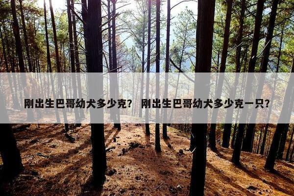 刚出生巴哥幼犬多少克？ 刚出生巴哥幼犬多少克一只？