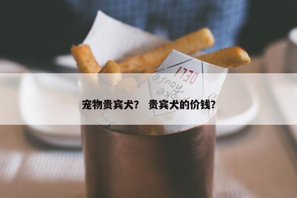宠物贵宾犬？ 贵宾犬的价钱？