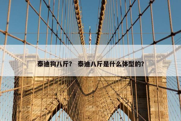 泰迪狗八斤？ 泰迪八斤是什么体型的？