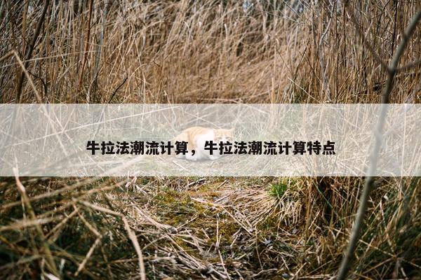 牛拉法潮流计算，牛拉法潮流计算特点