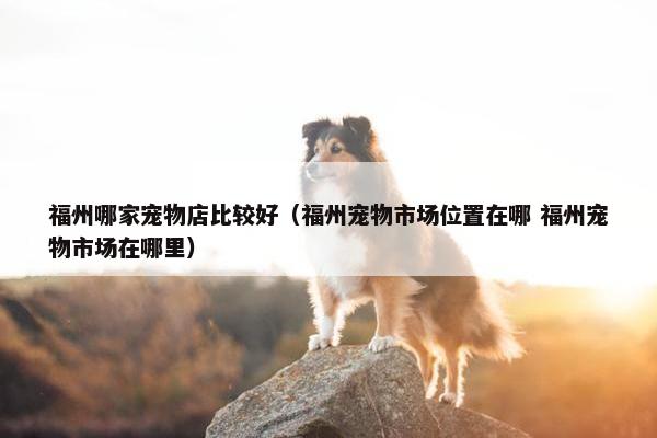 福州哪家宠物店比较好（福州宠物市场位置在哪 福州宠物市场在哪里）