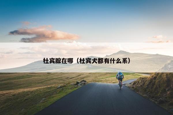 杜宾腺在哪（杜宾犬都有什么系）
