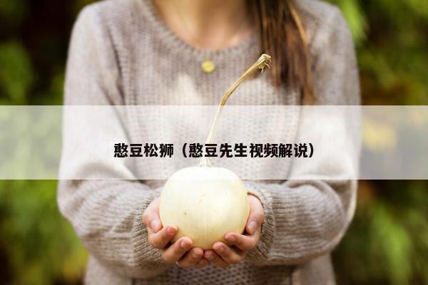 憨豆松狮（憨豆先生视频解说）