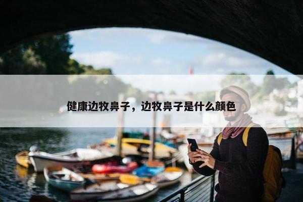 健康边牧鼻子，边牧鼻子是什么颜色