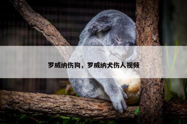 罗威纳伤狗，罗威纳犬伤人视频