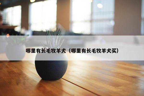 哪里有长毛牧羊犬（哪里有长毛牧羊犬买）