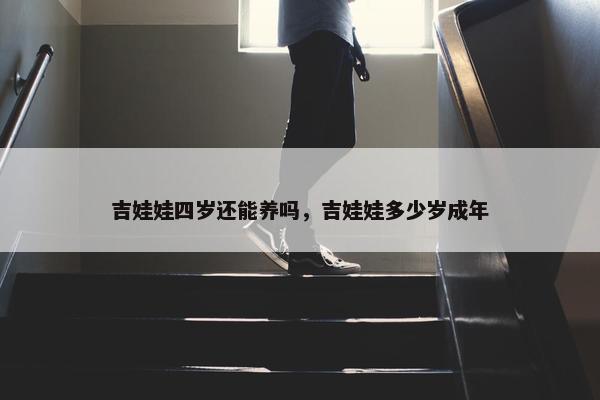 吉娃娃四岁还能养吗，吉娃娃多少岁成年