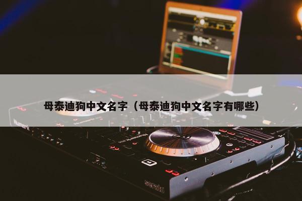 母泰迪狗中文名字（母泰迪狗中文名字有哪些）