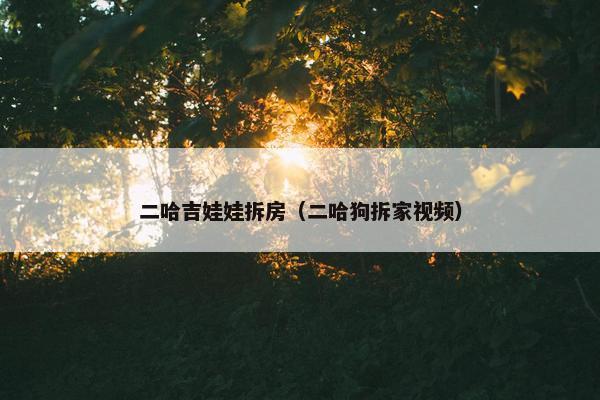 二哈吉娃娃拆房（二哈狗拆家视频）