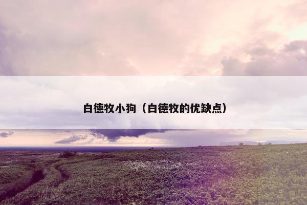 白德牧小狗（白德牧的优缺点）