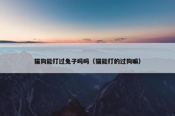 猫狗能打过兔子吗吗（猫能打的过狗嘛）