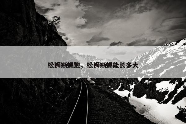 松狮蜥蜴跑，松狮蜥蜴能长多大