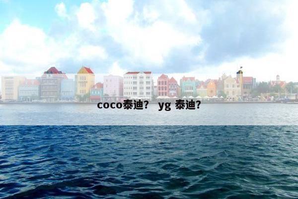 coco泰迪？ yg 泰迪？