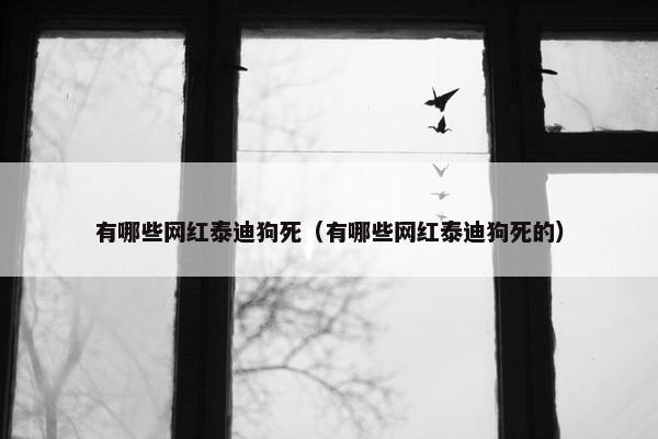 有哪些网红泰迪狗死（有哪些网红泰迪狗死的）