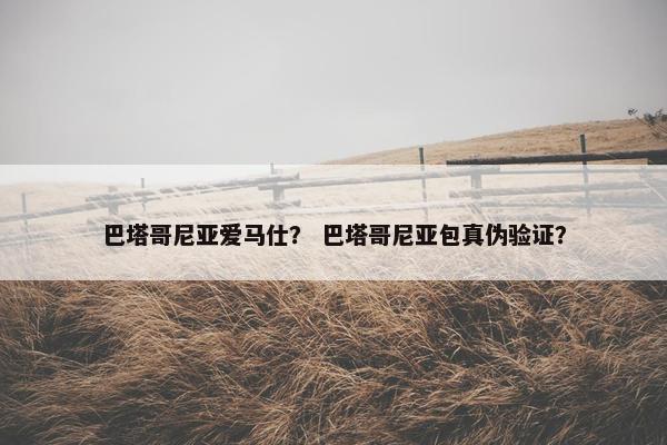 巴塔哥尼亚爱马仕？ 巴塔哥尼亚包真伪验证？
