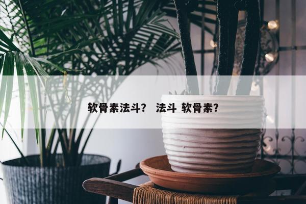 软骨素法斗？ 法斗 软骨素？
