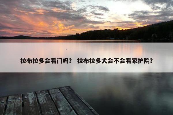 拉布拉多会看门吗？ 拉布拉多犬会不会看家护院？