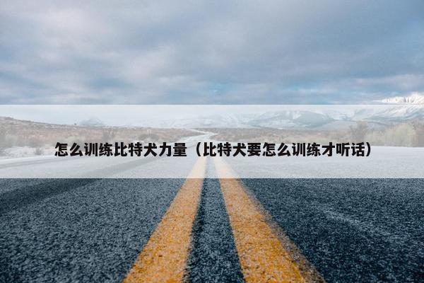 怎么训练比特犬力量（比特犬要怎么训练才听话）