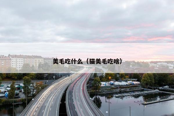 美毛吃什么（猫美毛吃啥）