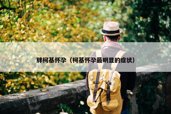 胖柯基怀孕（柯基怀孕最明显的症状）